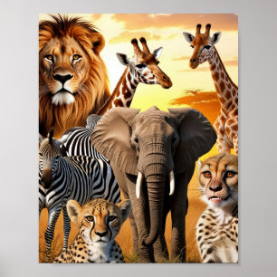 African animals poster