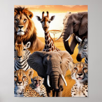 African animals