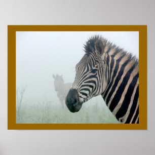 African Animals Zebra Stripes In The Mist Poster
