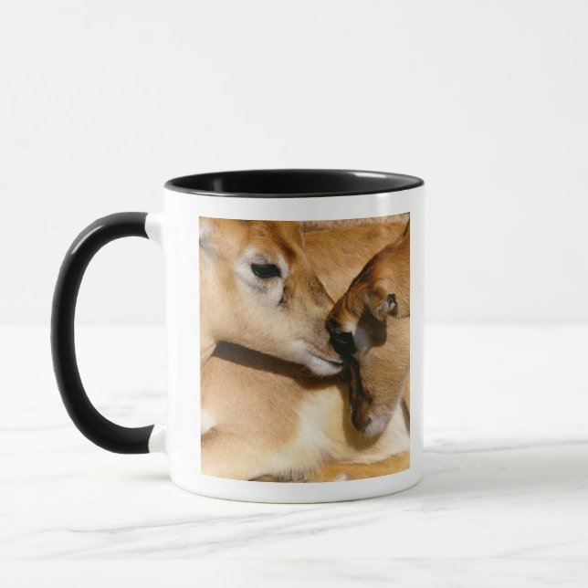African antelope and fawn mug (Left)