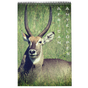 african antelope safari 2025 calendar