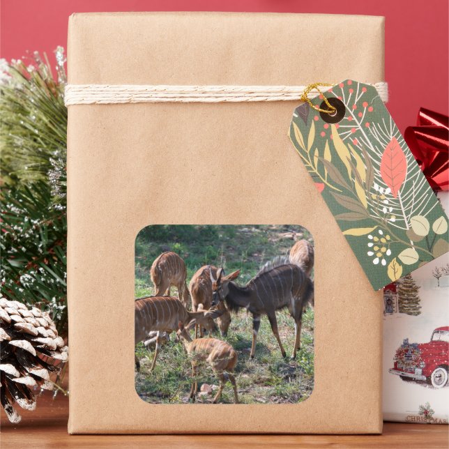 African Antelope Scene Square Sticker (Holiday)