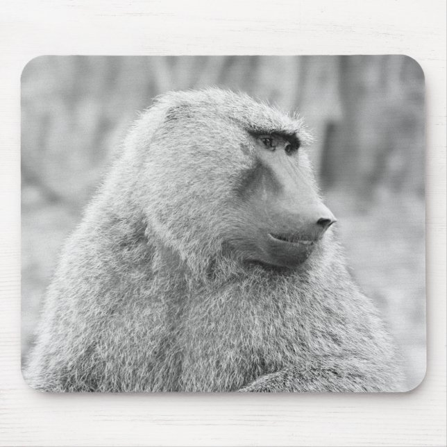 African baboon mouse mat (Front)