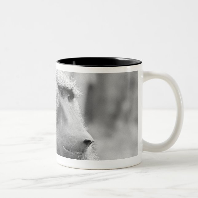 African baboon Two-Tone coffee mug (Right)