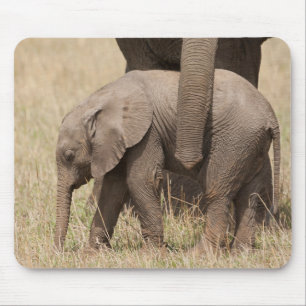African Baby Elephant with Mother Mouse Mat