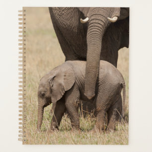 African Baby Elephant with Mother Planner