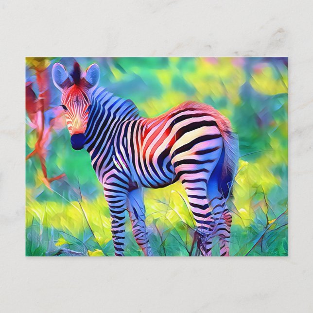 African baby zebra postcard (Front)