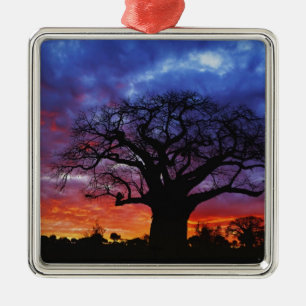 African baobab tree, Adansonia digitata, 2 Metal Tree Decoration