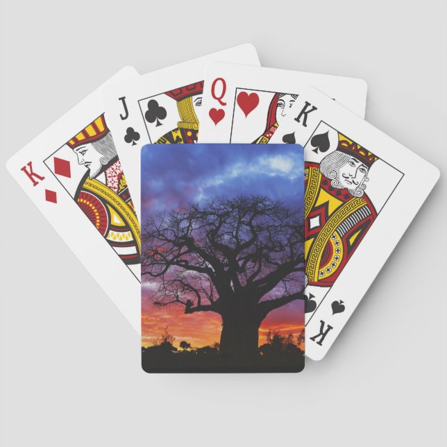 African baobab tree, Adansonia digitata, 2 Playing Cards (Back)