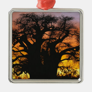African baobab tree, Adansonia digitata, Metal Tree Decoration