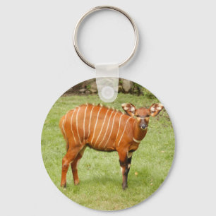 African Bongo Key Ring