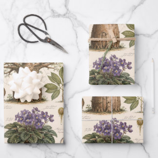 "African Botanical Atlas Wrapping Paper Sheet
