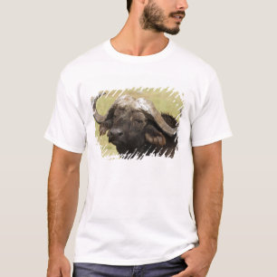 African Buffalo, Syncerus caffer T-Shirt