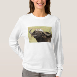 African Buffalo, Syncerus caffer T-Shirt