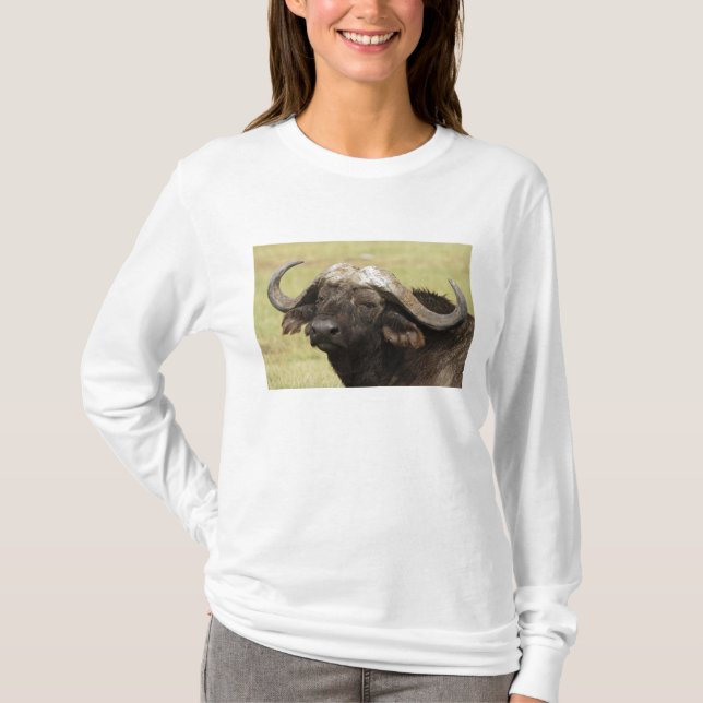 African Buffalo, Syncerus caffer T-Shirt (Front)