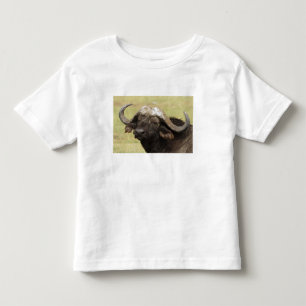 African Buffalo, Syncerus caffer Toddler T-Shirt