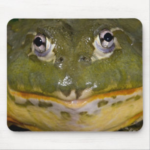 African Burrowing Bullfrog, Pyxicephalus Mouse Mat