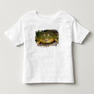 African Burrowing Bullfrog, Pyxicephalus Toddler T-Shirt