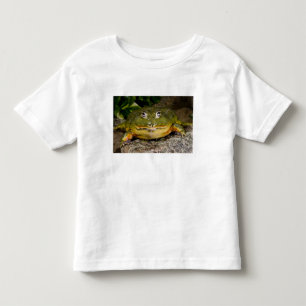 African Burrowing Bullfrog, Pyxicephalus Toddler T-Shirt