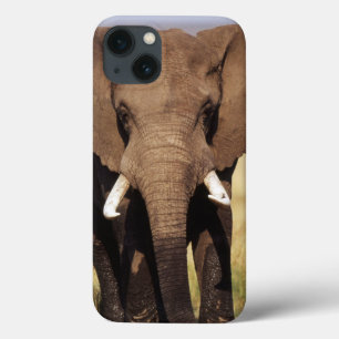 African Bush Elephant iPhone 13 Case
