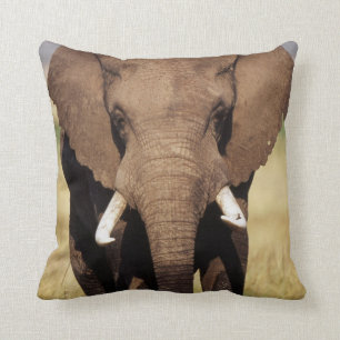African Bush Elephant Cushion