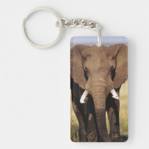 African Bush Elephant Key Ring