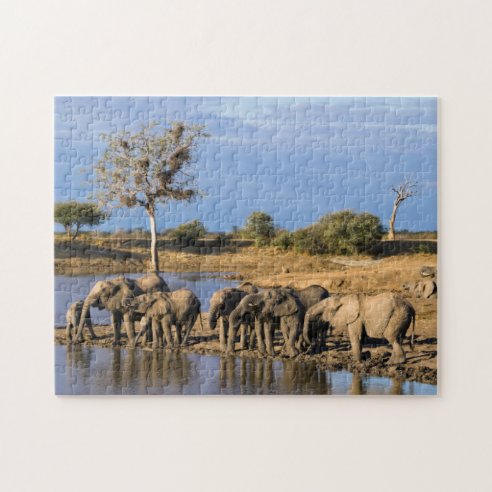 African Elephant Jigsaw Puzzles | Zazzle.co.uk