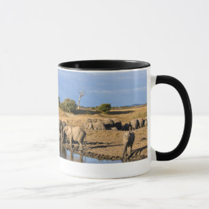 African Bush Elephant (Loxodonta Africana) Herd Mug
