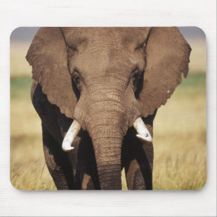 African Bush Elephant Mouse Mat
