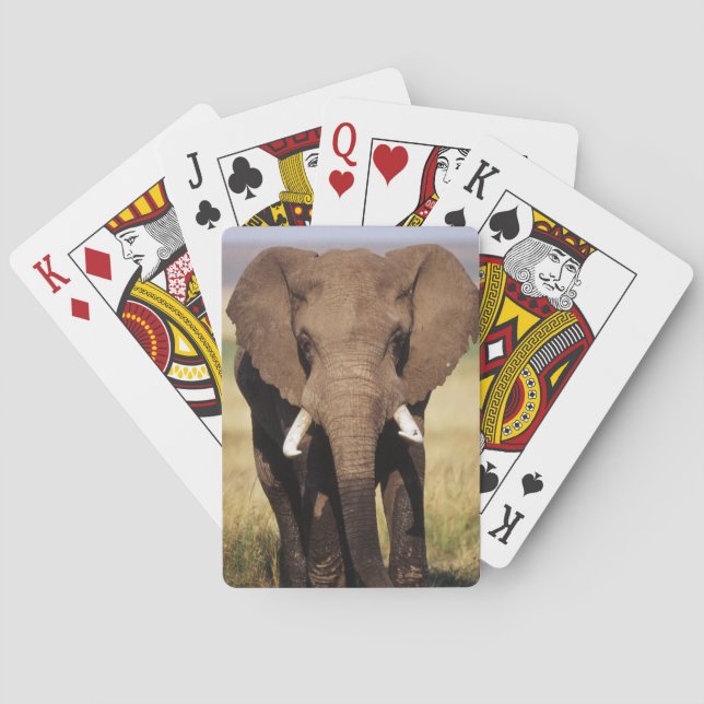 African Bush Elephant Playing Cards (Back)