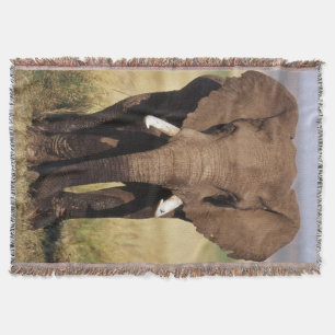 African Bush Elephant Throw Blanket