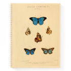 African Butterfly Hardcover Spiral Sketchbook