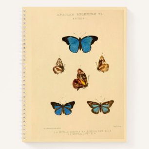 African Butterfly Hardcover Spiral Sketchbook Notebook