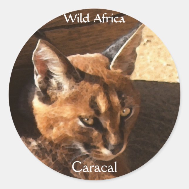 AFRICAN CARACAL WildCat Wildlife Stickers (Front)