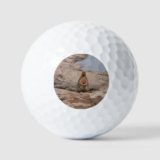 African Crocodile - Masai River Golf Balls