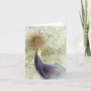 african crowned crane — invert card