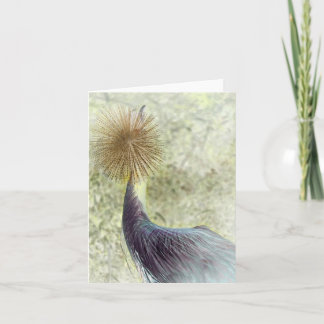african crowned crane — invert card