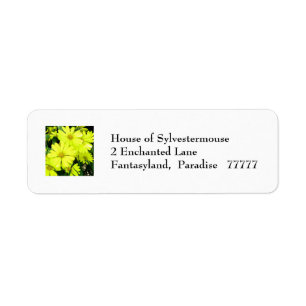African Daisies Address Labels for Personalisation