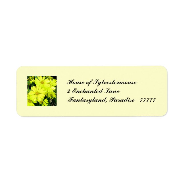 African Daisies Address Labels for Personalization (Front)