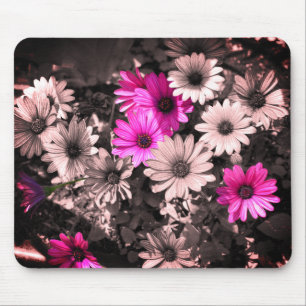 African Daisies Flower Art Mouse Mat