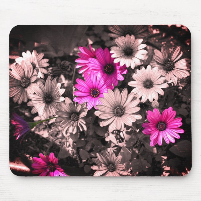African Daisies Flower Art Mouse Mat (Front)