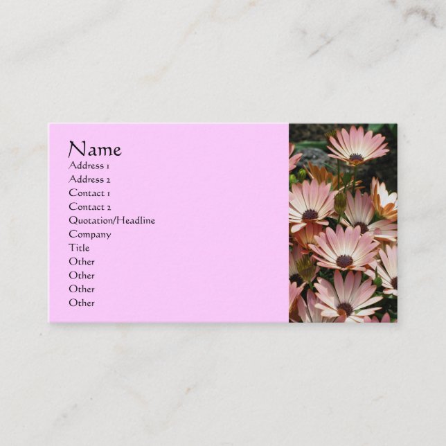 African Daisies Flower Photography Business Card (Front)
