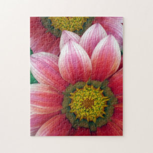 African Daisies Jigsaw Puzzle