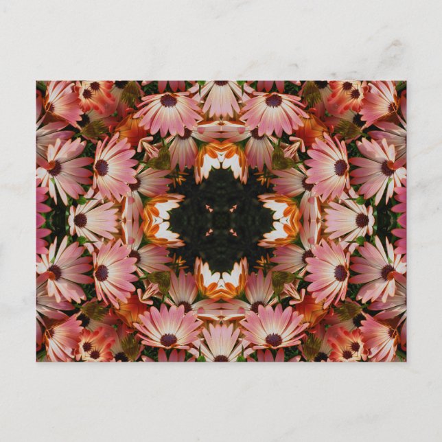 African Daisies Kaleidoscope Flower Postcard (Front)
