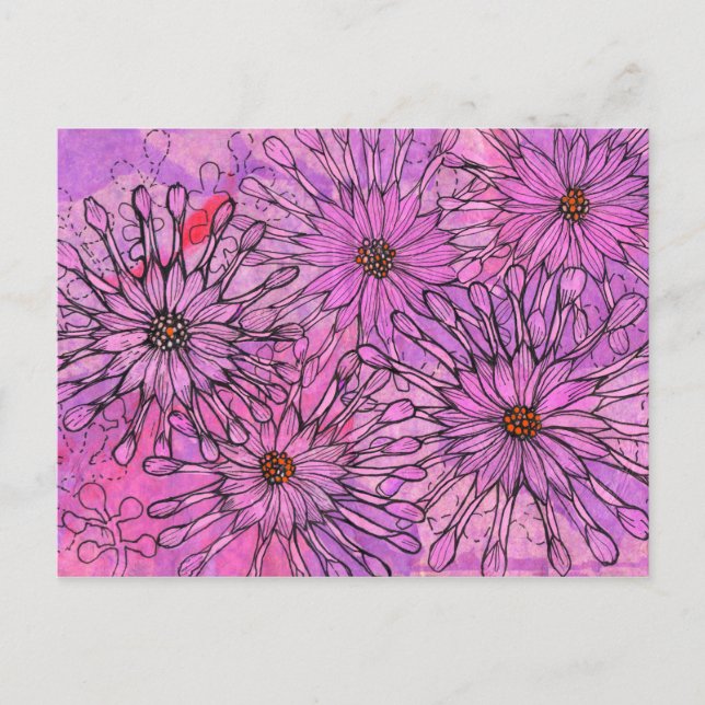 African Daisy Cape Daisies Pink Flowers Floral Art Postcard (Front)