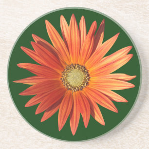 African Daisy Coaster