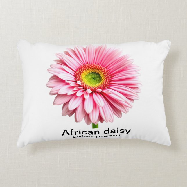 African daisy flower decorative cushion (Front)