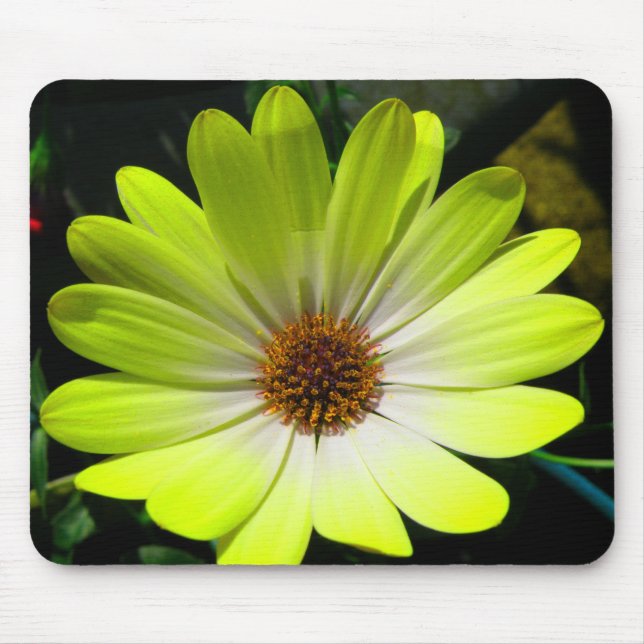African Daisy Fluorescent Yellow Mousepad (Front)