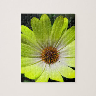 African Daisy Fluorescent Yellow Puzzle