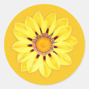 African Daisy / Gazania - Mustard Gold Classic Round Sticker